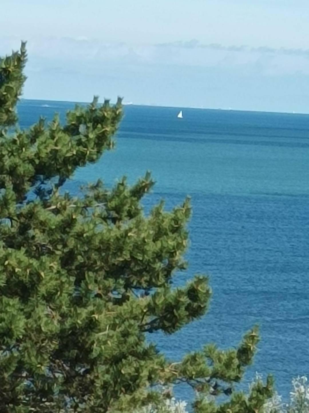 Le Cottage Vue Mer Benerville sur Mer Bagian luar foto